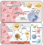 Keeping Tumors in Check: A Mechanistic Review of Clinical Response and Resistance to Immune Checkpoint Blockade in Cancer
