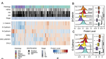 Re-Evaluating E-Cadherin and β-Catenin: A Pan-Cancer Proteomic Approach with an Emphasis on Breast Cancer