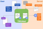 TRGAted: A web tool for survival analysis using protein data in the Cancer Genome Atlas