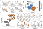 Single-Cell Profiling of Cutaneous T-Cell Lymphoma Reveals Underlying Heterogeneity Associated with Disease Progression