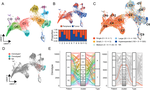 scRepertoire: An R-based toolkit for single-cell immune receptor analysis