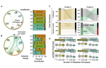 A transcriptomic map of murine and human alopecia areata