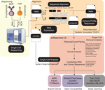 scRepertoire 2: Enhanced and efficient toolkit for single-cell immune profiling