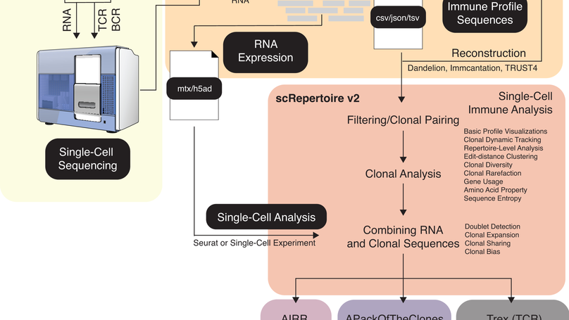 scRepertoire 2: Enhanced and efficient toolkit for single-cell immune profiling